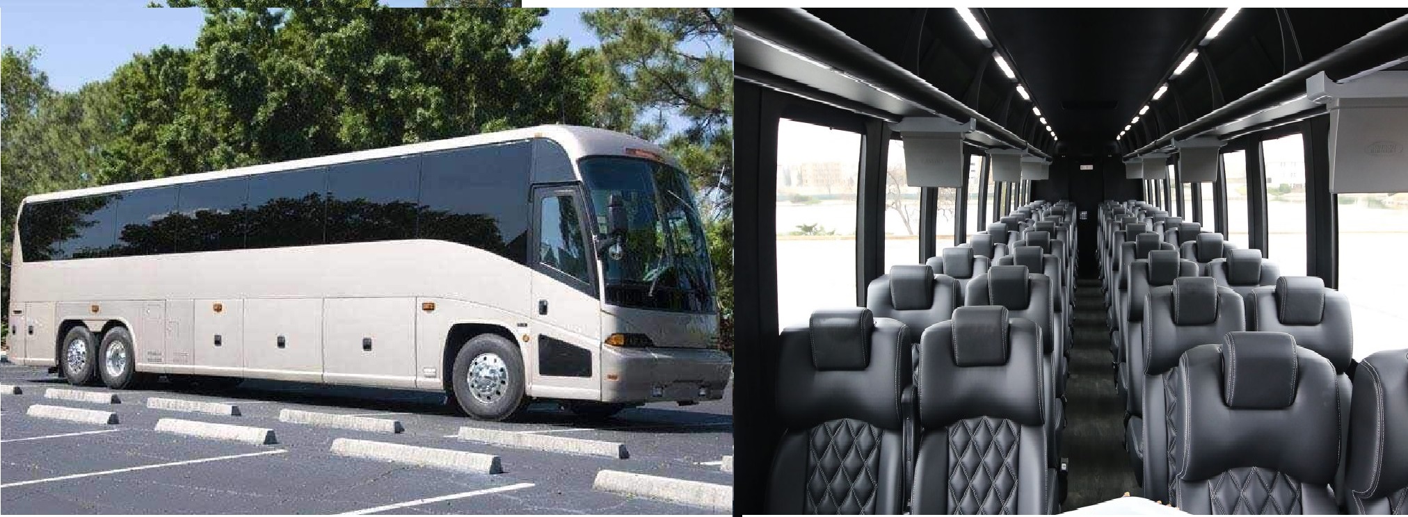 41 Seater Large CoacTraveller